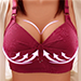 Push Up Bra & Minimizer